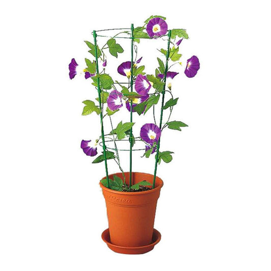 PlantSupport™ cadre de support pour plante | Jardinage